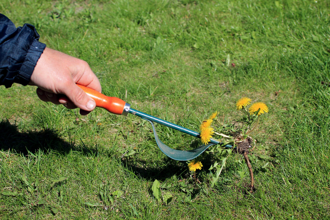 weed control services