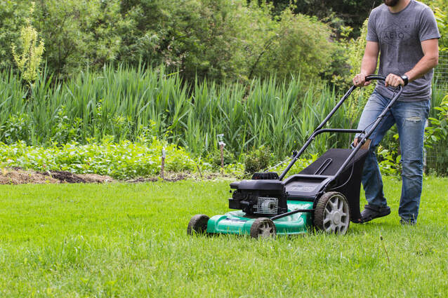 residential lawn service