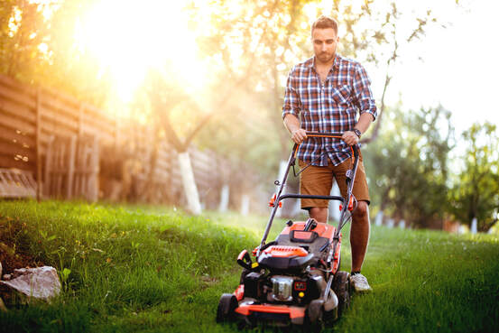 lawn care weed control  service