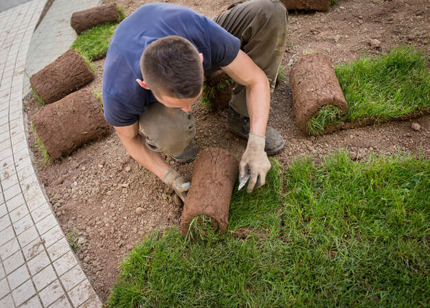 landscaping companies  near me