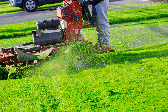 lawn care weed control